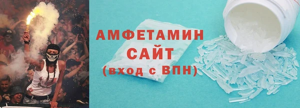 гашик Алексин