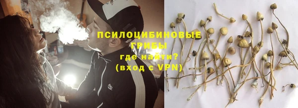 дживик Алзамай