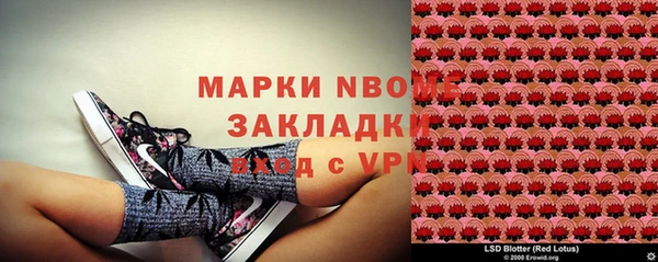 гашик Алексин