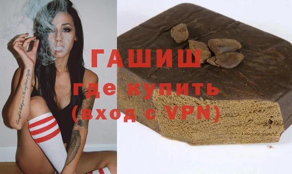 гашик Алексин